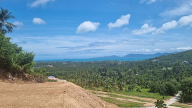 Land for sale in Mae Nam, Surat Thani