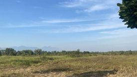 Land for sale in Makham, Chanthaburi