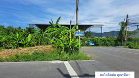 ขายที่ดิน ใน คอหงส์, หาดใหญ่