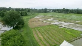 ขายที่ดิน ใน ลวงเหนือ, ดอยสะเก็ด