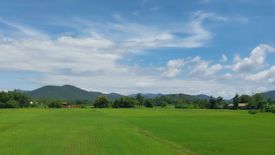 ขายที่ดิน ใน หนองแหย่ง, สันทราย