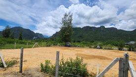 Land for sale in Sam Roi Yot, Prachuap Khiri Khan