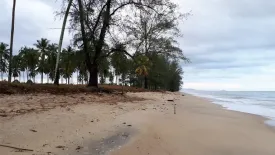 Land for sale in Sao Phao, Nakhon Si Thammarat