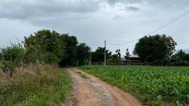 Land for sale in Pak Chong, Nakhon Ratchasima