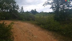 1 Bedroom Land for sale in Wat Pradu, Surat Thani