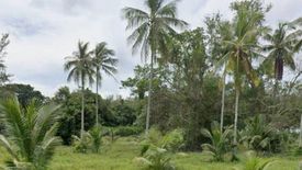 Land for sale in Mai Khao, Phuket