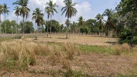 Land for sale in Mai Khao, Phuket