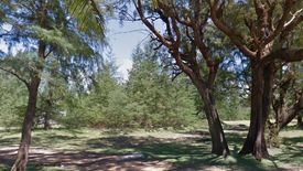 Land for sale in Mai Khao, Phuket