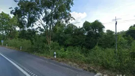 Land for sale in Mae Pah, Lampang