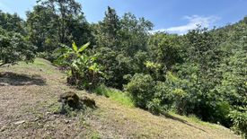 Land for sale in Nam Phrae, Chiang Mai