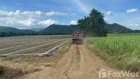 Land for sale in Wang Dong, Kanchanaburi