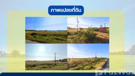 Land for sale in Don Chomphu, Nakhon Ratchasima