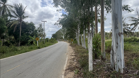 Land for sale in Sam Roi Yot, Prachuap Khiri Khan