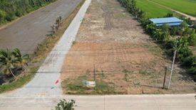 Land for sale in Bueng Bon, Pathum Thani