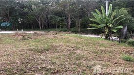 Land for sale in Ko Lanta Yai, Krabi