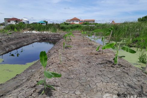 ขายที่ดิน ใน ศาลาธรรมสพน์, ทวีวัฒนา