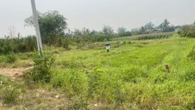 Land for sale in Thung Satok, Chiang Mai