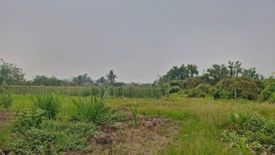 Land for sale in Thung Satok, Chiang Mai