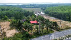 Land for sale in Thung Maphrao, Phang Nga