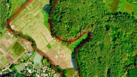 Land for sale in Tha Sut, Chiang Rai