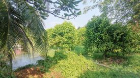 Land for sale in Nong Khaem, Bangkok