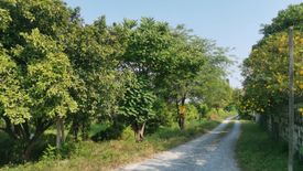 Land for sale in Nong Khaem, Bangkok