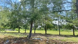 Land for sale in Sam Roi Yot, Prachuap Khiri Khan