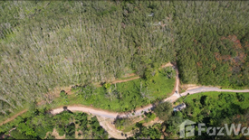 Land for sale in Si Sunthon, Phuket