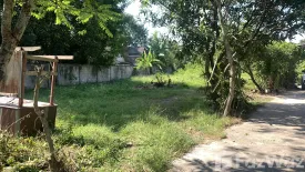 Land for sale in Nong Han, Chiang Mai