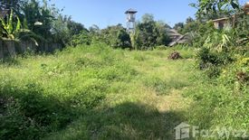 Land for sale in Nong Han, Chiang Mai