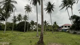 Land for sale in Maret, Surat Thani