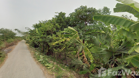 Land for sale in Bang Len, Nakhon Pathom