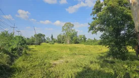 Land for sale in Som Poi, Buriram