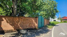 Land for sale in San Phak Wan, Chiang Mai