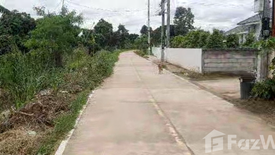 Land for sale in San Phak Wan, Chiang Mai