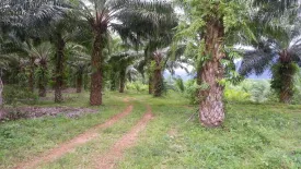 Land for sale in Bang Wan, Phang Nga