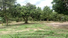 Land for sale in Nam Phrae, Chiang Mai