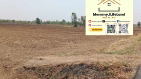 Land for sale in Mueang Khong, Nakhon Ratchasima