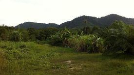 Land for sale in Pa Khlok, Phuket