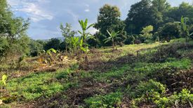 Land for sale in Huai Sai, Chiang Mai