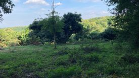 Land for sale in Huai Sai, Chiang Mai