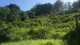 Land for sale in Pa Khlok, Phuket