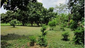 Land for sale in Pa Tan, Chiang Mai