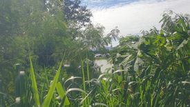 Land for sale in Chalong, Phuket