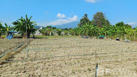 Land for sale in Nong Khwai, Chiang Mai