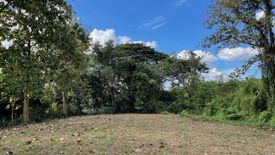 Land for sale in Mae Khue, Chiang Mai