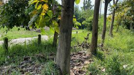 Land for sale in Mae Khue, Chiang Mai