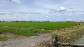 Land for sale in Lam Luk Bua, Nakhon Pathom