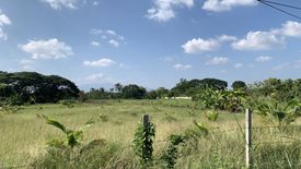 ขายที่ดิน ใน ชมภู, สารภี