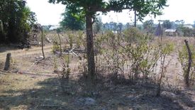 Land for sale in Ban Luang, Chiang Mai